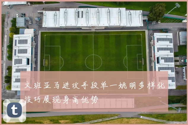 文班亚马进攻手段单一姚明多样化技巧展现身高优势