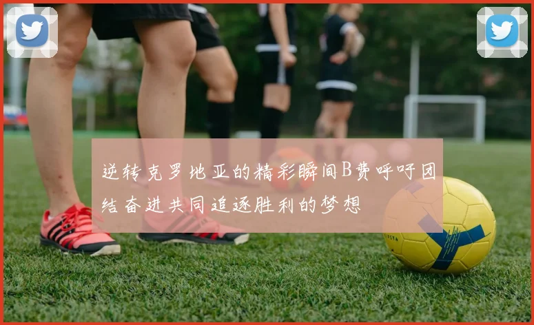 逆转克罗地亚的精彩瞬间B费呼吁团结奋进共同追逐胜利的梦想