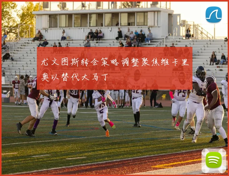 尤文图斯转会策略调整聚焦维卡里奥以替代大马丁