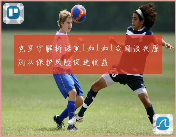 克罗宁解析诺里1加1加1合同谈判原则以保护风险促进收益