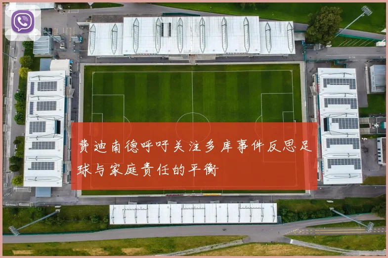 费迪南德呼吁关注多库事件反思足球与家庭责任的平衡